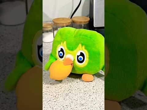 Duo Owl vs Lemon 🍋 Funny IRL Chaos | Viral Owl Moment