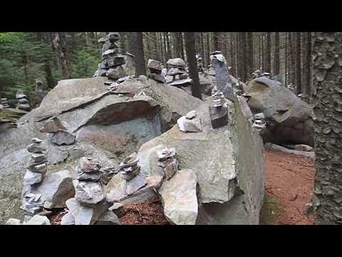 August 6, 2015, 11:24 AM - Day 152, VT Rock Garden!