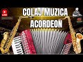 Colaj Muzica De Petrecere Hore Si Sarbe De Joc Muzica Instrumentala Acordeon 20 Minute