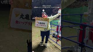 1%の人だけが10羽のニワトリを見つけることができる👀 #findthechicken #findtheduck #クイズ #脳トレ #ヤグタウン #香川県 #丸亀うどん祭り