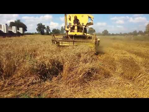 Harvest 2022 (part 2) with the Clayson M103