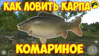 Russian fishing 1. 6 где и на что ловить карпа