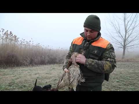 Priča o lovu - Lovački saveti