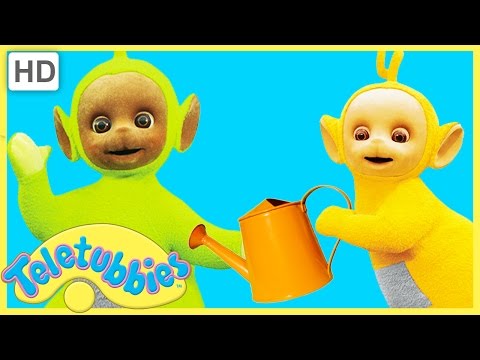 Teletubbies Full Episode | Water The Garden | 306