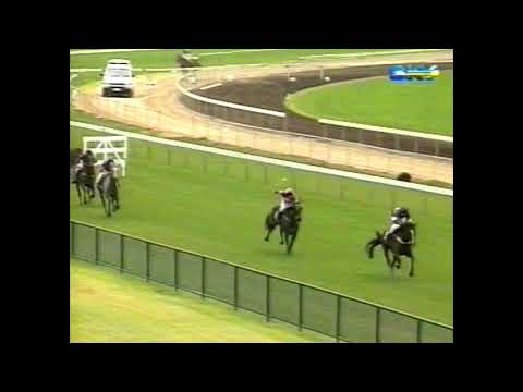 2000 MRC Great Southern Steeplechase