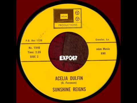 SUNSHINE REIGNS - ACELIA DULFIN.wmv