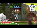 Små Olyckor Valpvänner Disney Junior Sverige