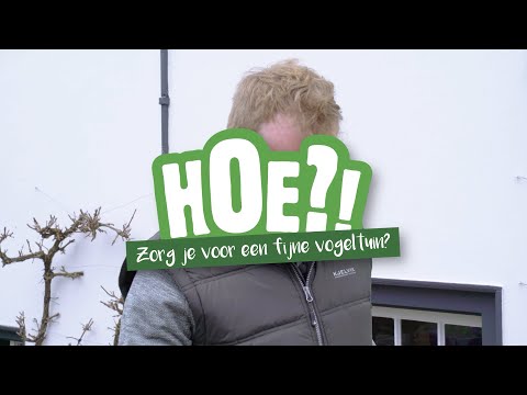 Hoe zorg je voor een fijne vogeltuin? | HOE?! | Welkoop