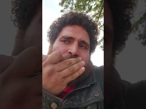 MAS POLLO  MAS MENUDO FECIL DAMA