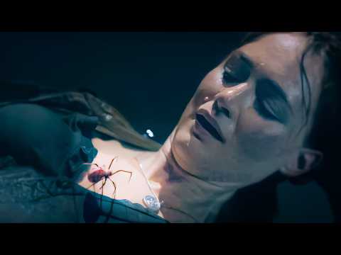 Bitten by a Spider, Girl Transforms into the First Spiderwoman