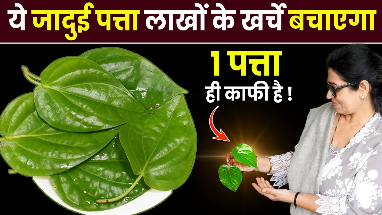 ये 1 पत्ता आपको सैकड़ो बीमारियों से बचाएगा, बुढ़ापे तक शरीर मजबूत, निरोगी बना रहेगा | Paan Ke Fayde