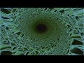 Ozric Tentacles - Aura Borealis [Visualization]