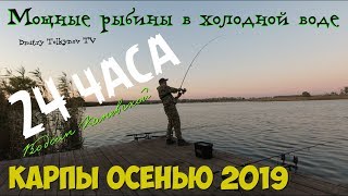 Осенняя ловля карпа и амура на прудах