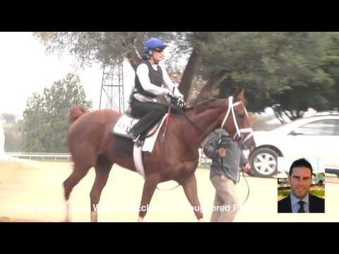 TDN at the Track: GI BC Distaff hopeful Curalina works at Keeneland