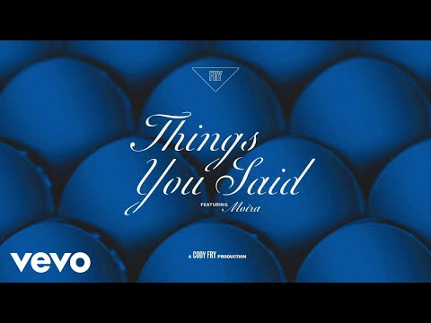 Miniatura de Things You Said (Remix)
