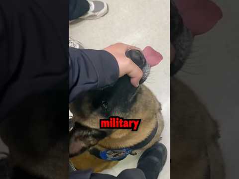 DON’T CLICK THE SOUND🥲