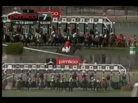 Pimlico 04/19/14 race 7