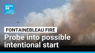 France investigates intentional start of Fontainebleau forest fire south of Paris