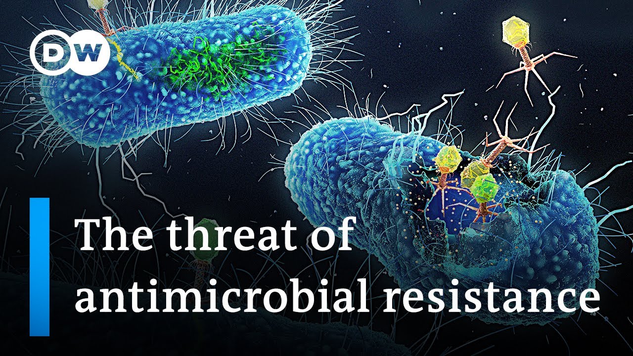5 million annual deaths: Why antimicrobial resistance is a global public health threat | DW News