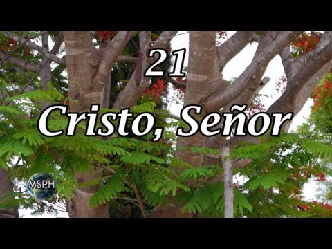 HA62 | Himno 21 | Cristo, Señor