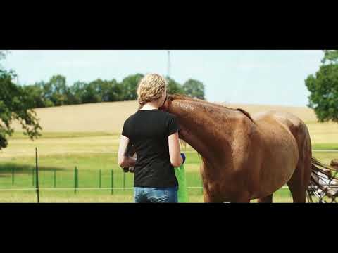 MUSTANG MAKEOVER 2018 Team Jessica (TAG 3935) - Update 7