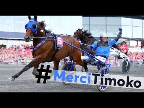 PROMO:HONOURING TIMOKO  |  VICTORIA PARK WOLVEGA