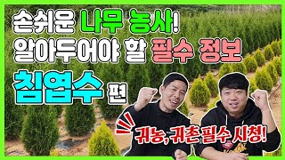 나무 제테크 방법 및 쉬운 나무 농사 추천! (나무박사 신박사의 토크 콘서트! ) #정원수 #조경수 #귀농 …
