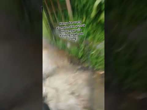 resiko jadi kurir harus banyak sabar apa lagi baru 🤣🤣