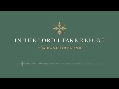 In the Lord I Take Refuge: Psalm 146 - Put Not Your Trust in Princes