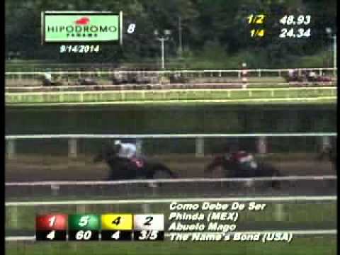 8VA CARRERA DOMINGO 14 DE SEPTIEMBRE 2014 HPR