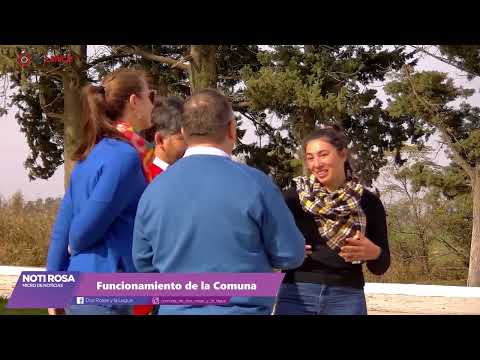 NOTI ROSA   PROGRAMA 5