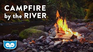 Campfire by the River - Relaxing Fire and Nature Sounds