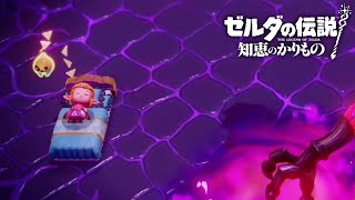ラスボスの前でも寝るゼルダ姫【ゼルダの伝説 知恵のかりもの】#16