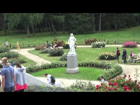 Learn Lithuanian Lesson 20 rose