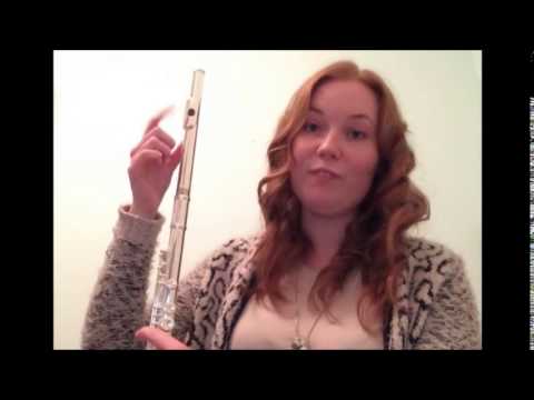 Jupiter JFL-511 ESSC Flute