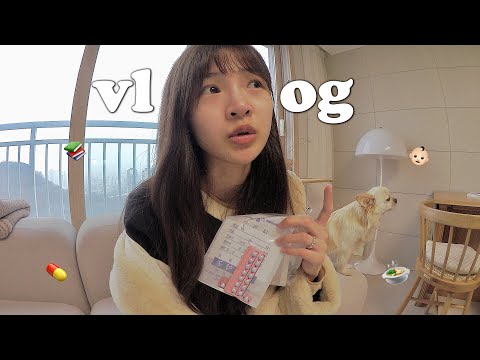 VLOG 임신하고싶은이유, 이식 연기🥲, 입맛살리기 작전, 양념게장, 가자미구이, 전복솥밥, 책언박싱