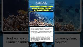 Petualangan Menyelam di Bunaken dan Keindahan Tembok Lekuan yang Dihiasi Beragam Biota Laut