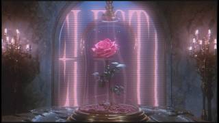 LOVE MAGNET ACTIVATION 🌹 MANIFEST LOVE OVERNIGHT 🌹EXTREME CRUSH, SP, SOULMATE SUBLIMINAL PROGRAMMING