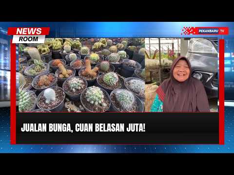 Dari Bibit Bunga, Warga Pasaman Raup Belasan Juta Rupiah
