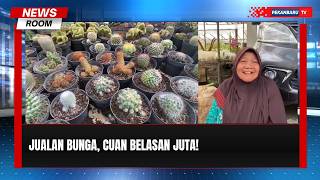 Dari Bibit Bunga, Warga Pasaman Raup Belasan Juta Rupiah