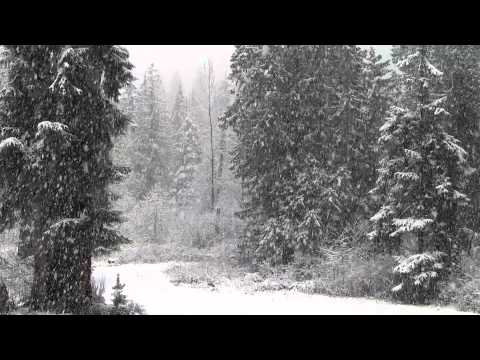 Fast Falling Snow 1080p Hd Without Music