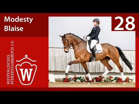 28 Modesty Blaise Stute v. Millenium/T. - Weltmeyer