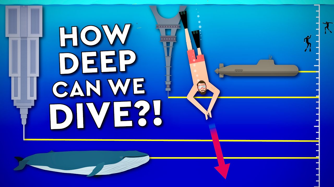 What Is The DEEPEST A Human Can DIVE? Debunked