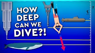 What Is The DEEPEST A Human Can DIVE? Debunked