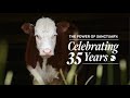 The Power of Sanctuary: Celebrating 35 Years
