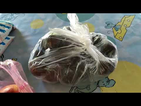 Съела одного рака и получила аллергию./Лечим Степу/