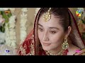 Shameer Aur Shibra Ki Shadi Ho Gaye Ishq Murshid HUM TV