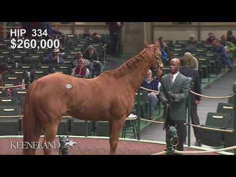 2018 Keeneland January Sale - Bellavais (Hip 334)