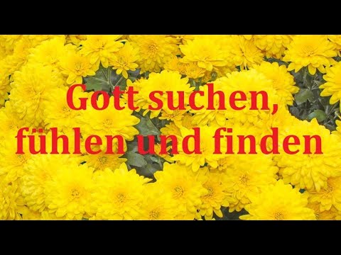 Kurzpredigt: Gott suchen, fühlen und finden
