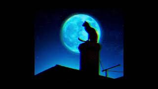 Lunar Sea - Camera Obscura